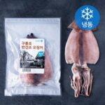 실사용 후기 구룡포 반건조 오징어 7080g x 21마리(팩당3마리 총 7팩 전문가 검증제품