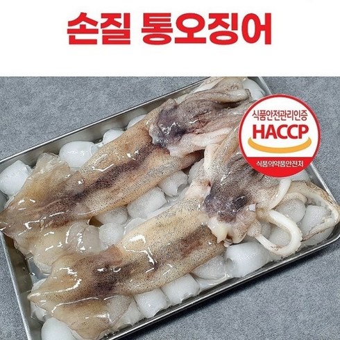 인스타에서 난리난 자연산 손질 통오징어 20마리260gX10팩 비교분석