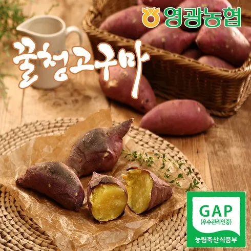 요즘 가장 핫한 2023 농협 김제 햇 꿀고구마 전문가 검증제품