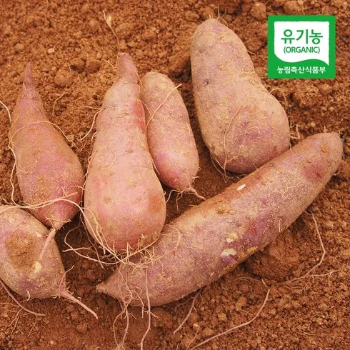 올 겨울 만족도1위- 겨울엔 유기농 꿀고구마 3kg3kg  비교분석
