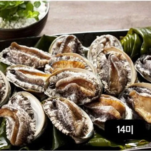 졸업선물은 바로 완도활전복 왕특특대 14미  최다인기