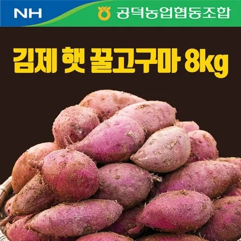 유튜브에서 소문난- 해남 황토 꿀고구마 8kg 리뷰 많아요