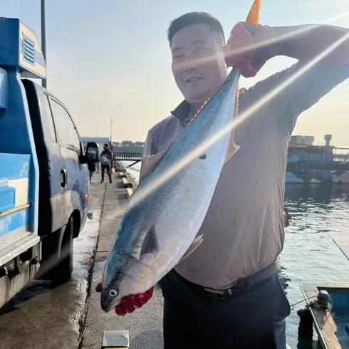 감사한분에게 전하는 회로도 먹는 제주 손질 광어 구매하고 혜택 받아가세요