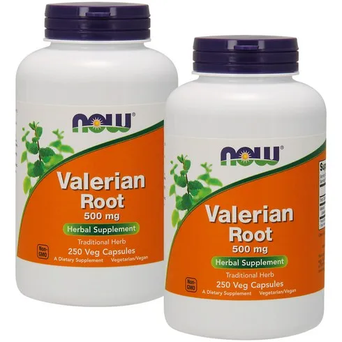 내돈내산후기 대명 아임레디 THE 행복한 플랜 믿고보는 당일배송