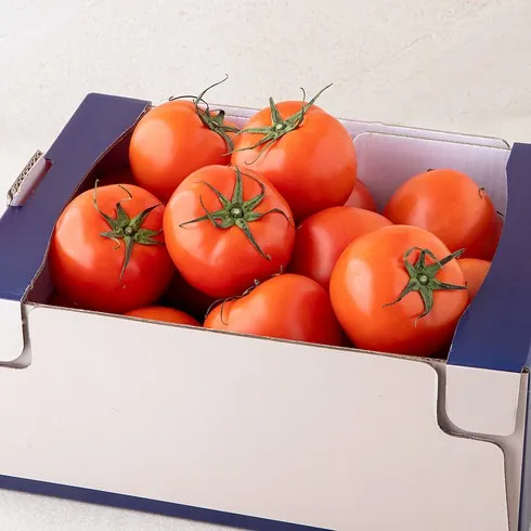 요즘 가장 핫한 전북 김제 오색 칵테일 토마토 5kg 베스트상품