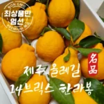 솔직한 리뷰- 제주도 3박4일. 균일가 239000원 최다 판매는 이유가 있다