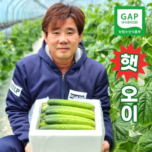 특별한 시간 국내산 통오이지 20개  만족도 최고