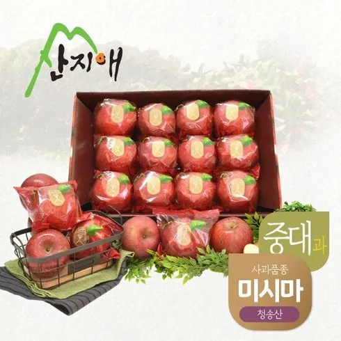 올해 최고의 픽 산지애 사과 5.4kg  만족도 최고