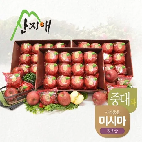 믿고보는 산지애 알뜰사과 6kg사과즙 6팩  실시간 핫한 제품
