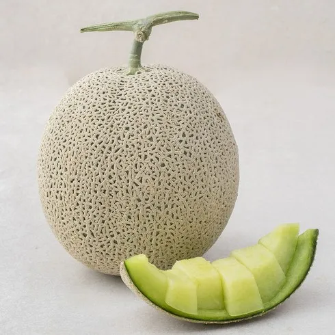 새롭게 변신한 곡성 멜론 총7kg  올해 대박상품