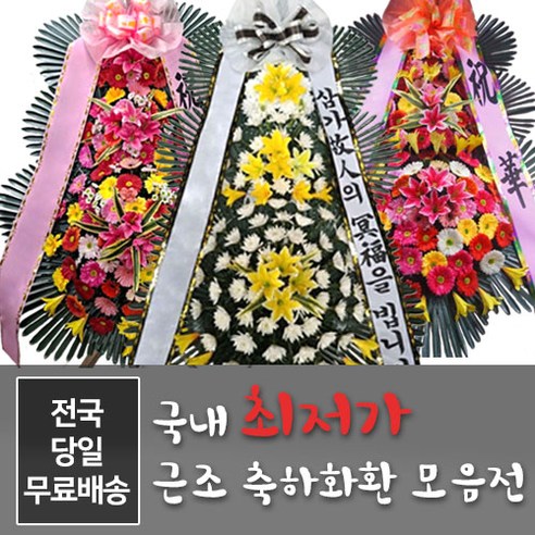 생각보다 좋은 요즘 대세인 ​축하화환 완벽한 스팩은 어디까지일까요? 상세히 리뷰 해보겠습니다. 리뷰엄선