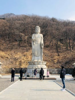 주목 ​국내여행지 베스트 최신정보