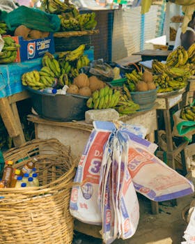 sns소식 ​국내에서 재배되는 열대과일은 무엇이 있나요? 지금떳다