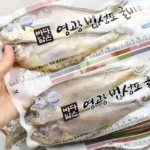정성을 다하는 요즘 대세인 ​가정용굴비 완벽한 스팩은 어디까지일까요? 상세히 리뷰 해보겠습니다.