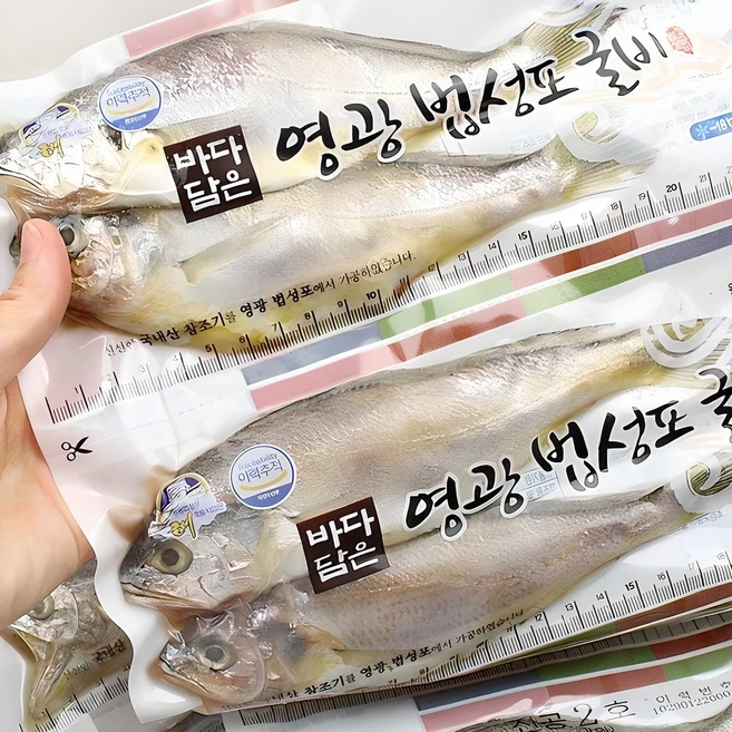 정성을 다하는 요즘 대세인 ​가정용굴비 완벽한 스팩은 어디까지일까요? 상세히 리뷰 해보겠습니다.