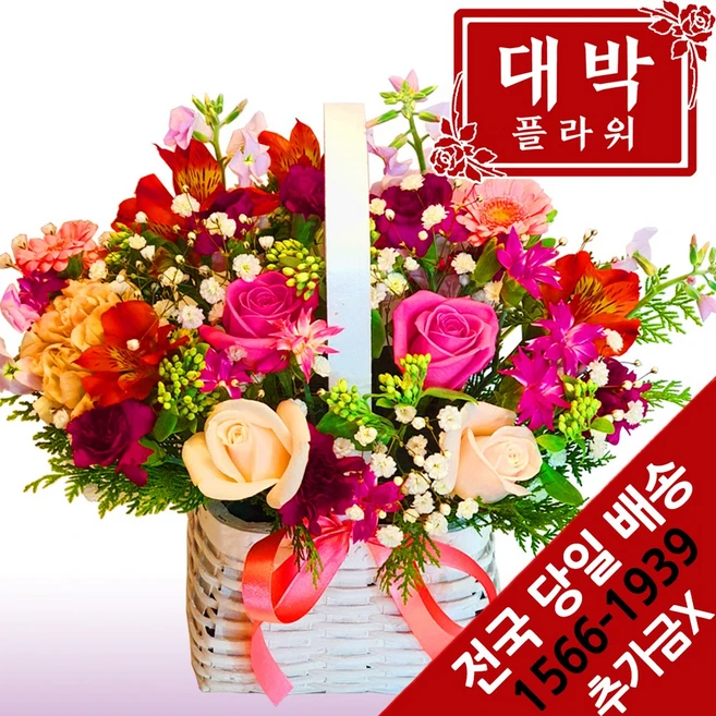 품절이 임박한 요즘 대세인 ​꽃바구니배달 완벽한 스팩은 어디까지일까요? 상세히 리뷰 해보겠습니다.