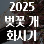 간단소식 2025벚꽃개화시기 놓치지마세요