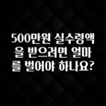 최저가만 선정 500만원 실수령액을 받으려면 얼마를 벌어야 하나요? 바로 소개합니다.