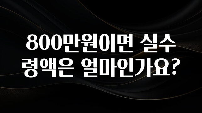 시간이 없다? 800만원이면 실수령액은 얼마인가요? 추천드릴게요