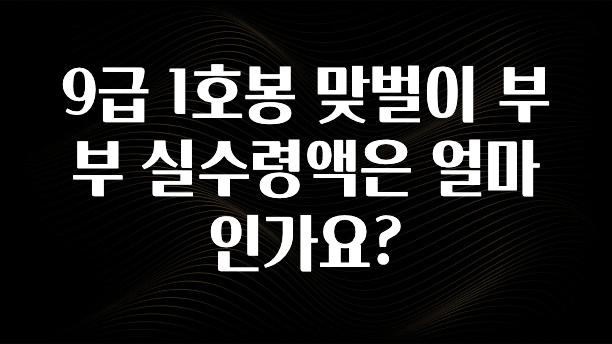 올해 베스트 9급 1호봉 맞벌이 부부 실수령액은 얼마인가요? 핫한 정보입니다