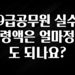 정성을 다하는 9급공무원 실수령액은 얼마정도 되나요? 확인해보세요