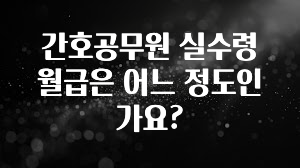 유튜브에서 난리난 정보 간호공무원 실수령 월급은 어느 정도인가요? 추천드릴게요