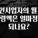 모두가 찾는 개인사업자의 월 실수령액은 얼마정도 되나요? 실사용 후기