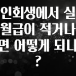 좋은 정보 개인회생에서 실수령 월급이 적거나 많으면 어떻게 되나요? 아주 좋은 정보입니다