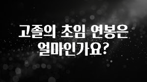 별다섯개 고졸의 초임 연봉은 얼마인가요? 알짜배기만 골라가세요