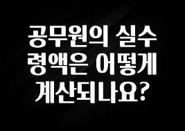 정성을 담은 공무원의 실수령액은 어떻게 계산되나요? 관심이 뜨거운 이유 입니다