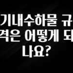 사랑을 담은 기내수하물 규격은 어떻게 되나요? 리뷰가 많습니다