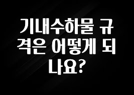 사랑을 담은 기내수하물 규격은 어떻게 되나요? 리뷰가 많습니다
