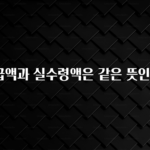 우리도 이렇게 하자 기지급액과 실수령액은 같은 뜻인가요? 요약정리