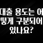 유튜브에서 난리난 정보 대출 용도는 어떻게 구분되어 있나요? 지금 소개할게요
