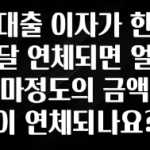 추가정보 대출 이자가 한달 연체되면 얼마정도의 금액이 연체되나요? 한 번에 알려드립니다