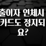 美친 소식 대출이자 연체시 신용카드도 정지되나요? 요약본만 확인해보세요