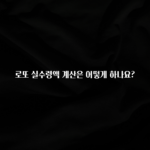 클릭필수 로또 실수령액 계산은 어떻게 하나요? 요약본만 확인해보세요