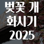 요즘 이게 유행 벚꽃개화시기2025 바로 클릭