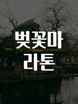 간단뉴스 벚꽃마라톤 궁금하시죠?