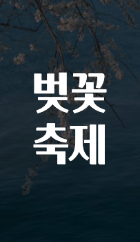모두가 궁금해 했던 벚꽃축제 확인하시죠