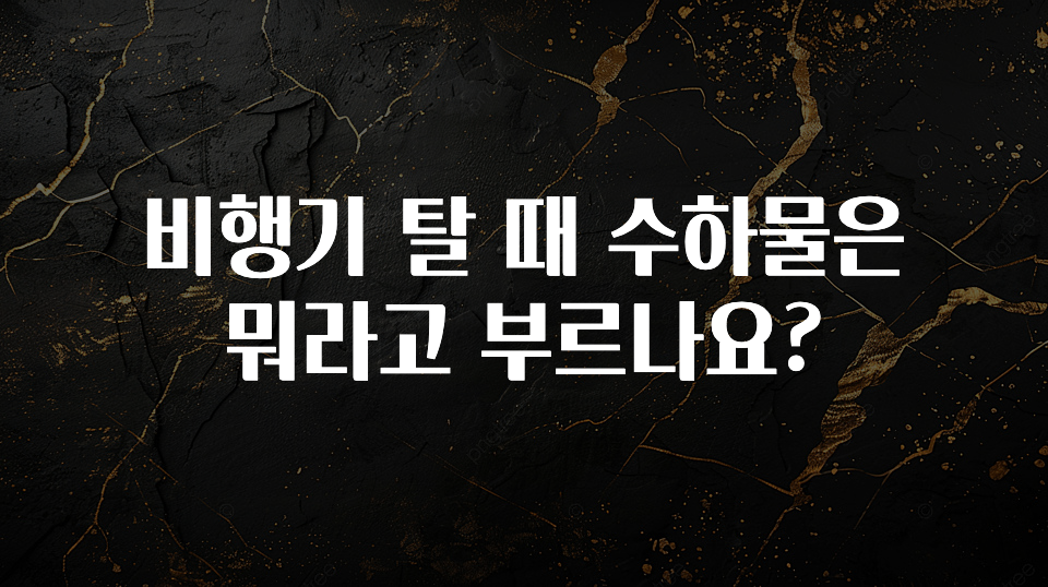 베스트 비행기 탈 때 수하물은 뭐라고 부르나요? 군말없이 소개합니다