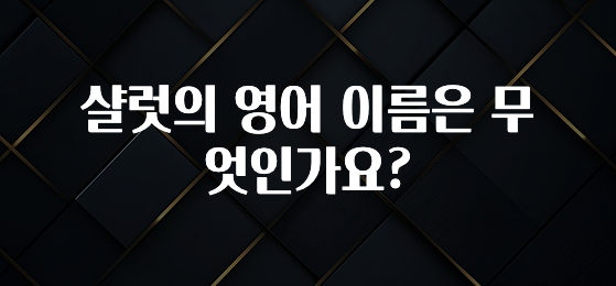 가성비 좋은 샬럿의 영어 이름은 무엇인가요? 확인해보세요