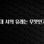 다 모아봄 서울대 샤의 유래는 무엇인가요? 정직하게 소개해보겠습니다