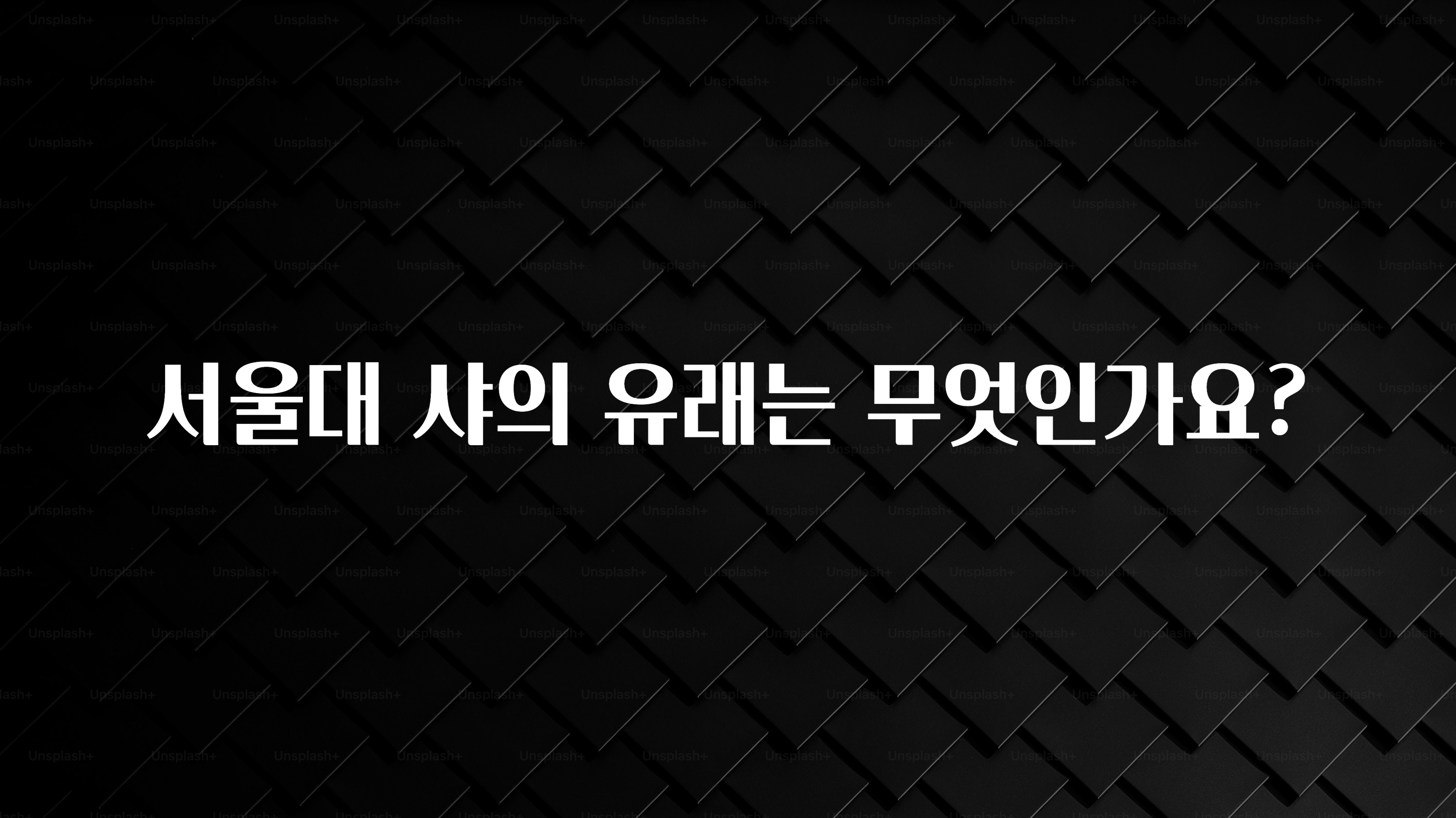 다 모아봄 서울대 샤의 유래는 무엇인가요? 정직하게 소개해보겠습니다