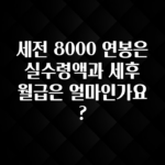 보고싶은 순간 세전 8000 연봉은 실수령액과 세후 월급은 얼마인가요? 기억하세요