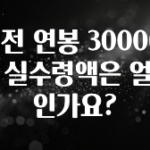 재구매율 1위 세전 연봉 3000이면 실수령액은 얼마인가요? 요약정리