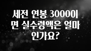 재구매율 1위 세전 연봉 3000이면 실수령액은 얼마인가요? 요약정리