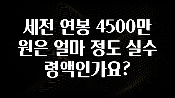 혜자소식 떳다 세전 연봉 4500만원은 얼마 정도 실수령액인가요? 군말없이 소개합니다