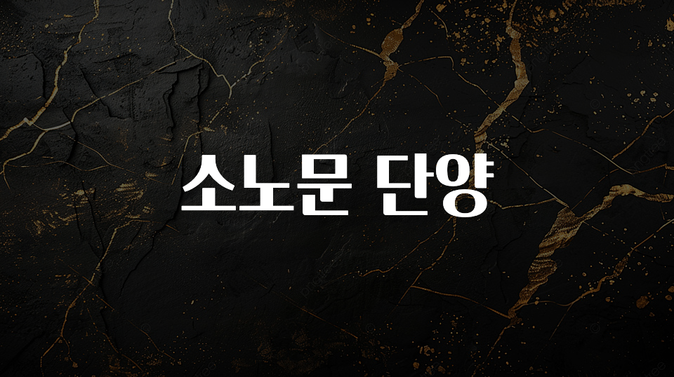 모두가 찾는 소노문 단양 지금떳다