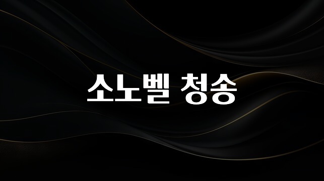 인플루언서가 공개한 소노벨 청송 리뷰가 많습니다